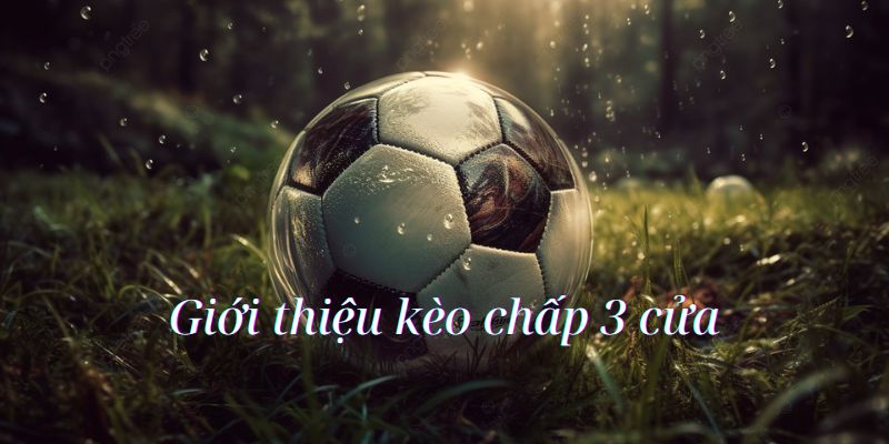 Giới thiệu kèo chấp 3 cửa