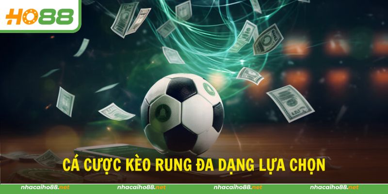 Các dạng cá cược running ball đa dạng đầy thử thách