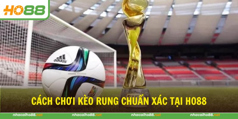Hướng dẫn đọc bảng kèo rung chuẩn xác và hiệu quả