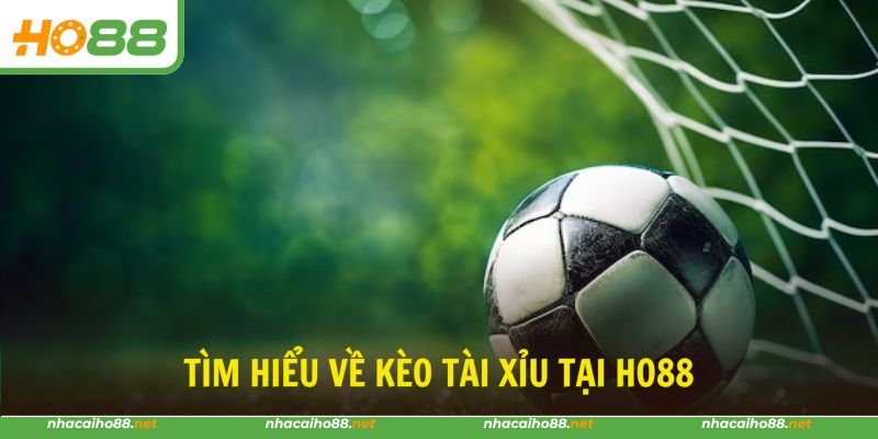 Kèo tài xỉu luôn được người chơi chọn khi đặt cược