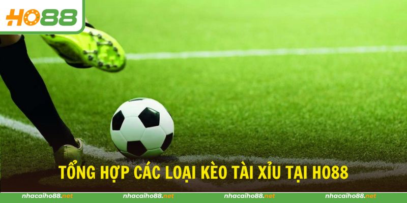 Nhiều loại cược tài xỉu tại nhà cái HO88 cần biết